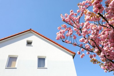 Blumenschmuck vor dem Haus