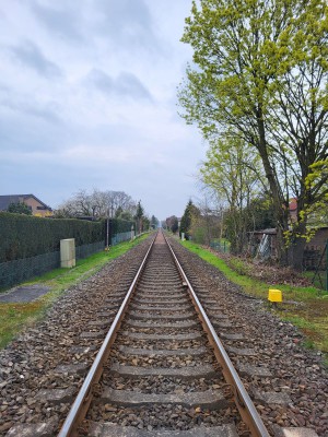 Es wird grün an der Bahnstecke Bielefeld - Paderborn