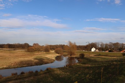 Am Steinhorster Becken - 2023