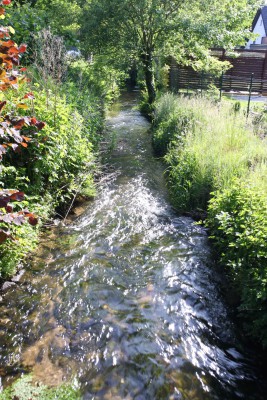 Der Ölbach im frühlingshaften Gewand