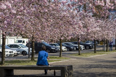 Frühlingserwachen_05.JPG