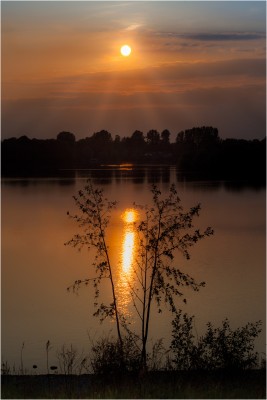 golden SUNSET