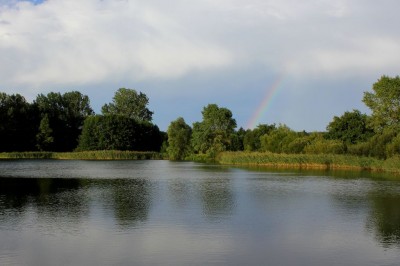 Ruhe in den Rieselfeldern...