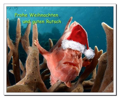 Weihnachtskarte_2015.jpg