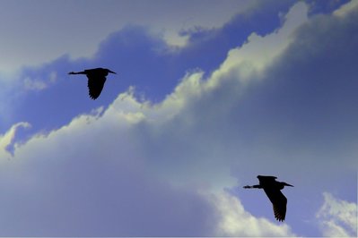 genehmigter Vorbeiflug am Flugplatz Windelsbleiche