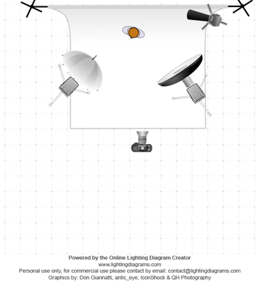 Lichtsetup der Fotos &quot;curious&quot; und &quot;Flowers&quot;