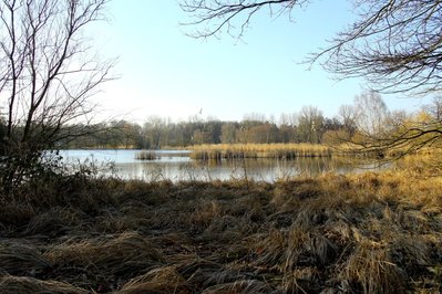 Vorhang auf für den beginnenden Frühling,