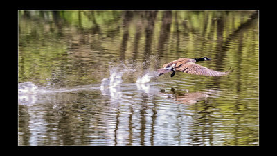 AIRBORNE @Schloß Holte